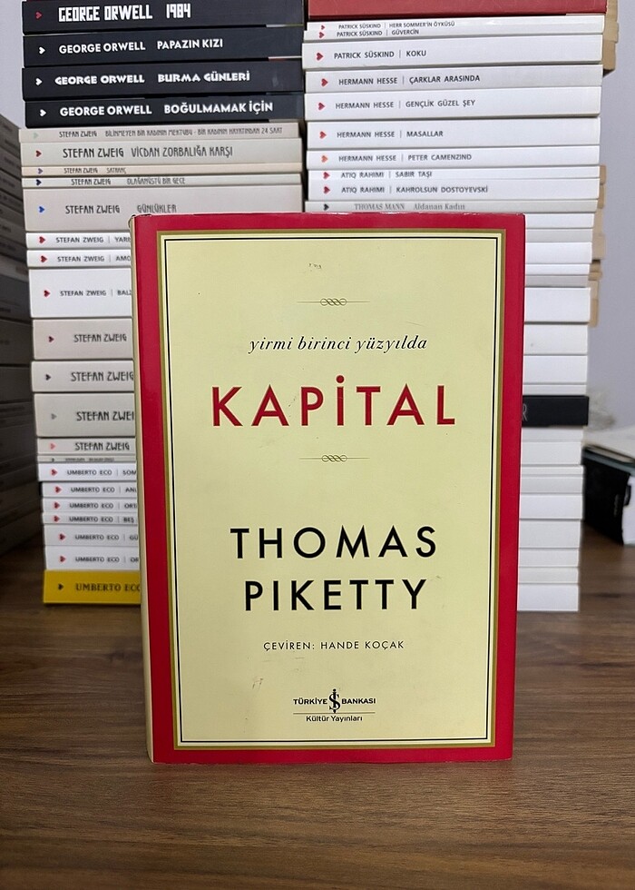 Thomas Piketty Capital - Görsel 2