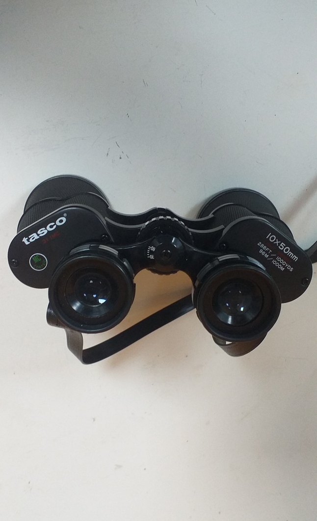 Japon Dürbün. - Görsel 2