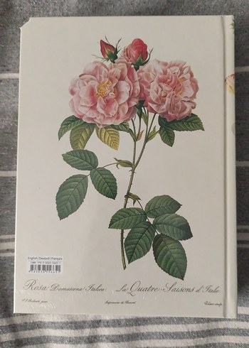 Pierre-Joseph Redouté Çiçekler Kitabı - Görsel 2