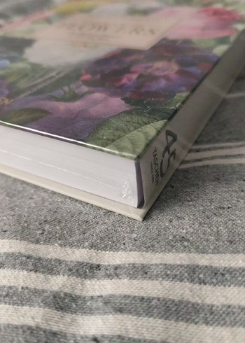 Pierre-Joseph Redouté Çiçekler Kitabı - Görsel 3