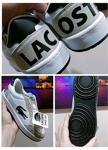 38 Beden çeşitli Renk Lacoste