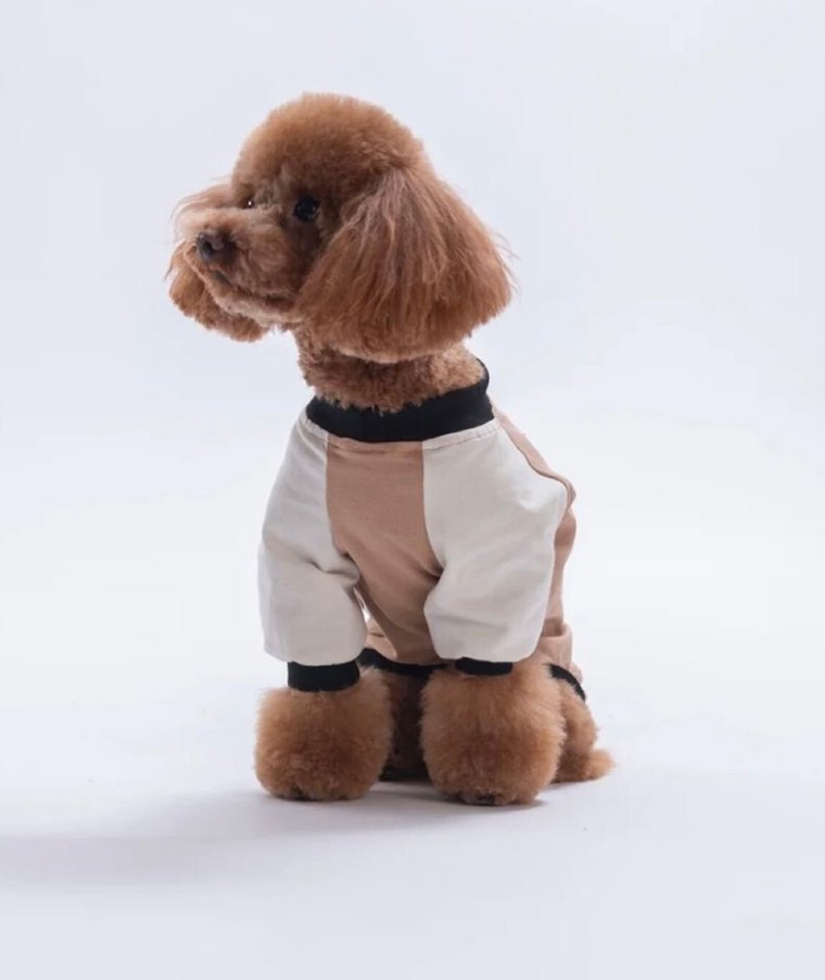 Pawstar Ayıcık Desenli Köpek Kıyafeti — görsel 3/7