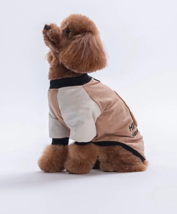 Pawstar Ayıcık Desenli Köpek Kıyafeti — görsel 2/7