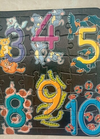  Beden Renk Sayılar Puzzle