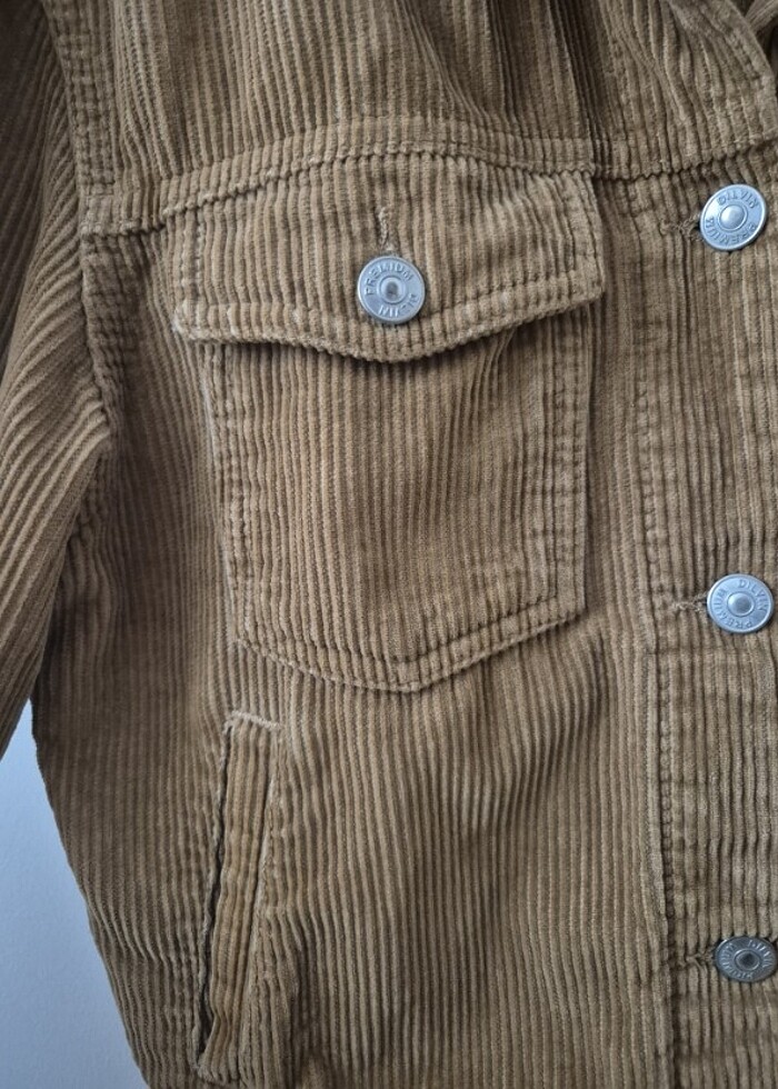 Dilvin Kadife Ceket - Görsel 2