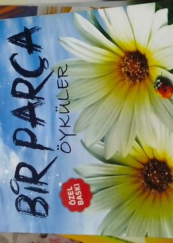 okuma kitapları - Görsel 11