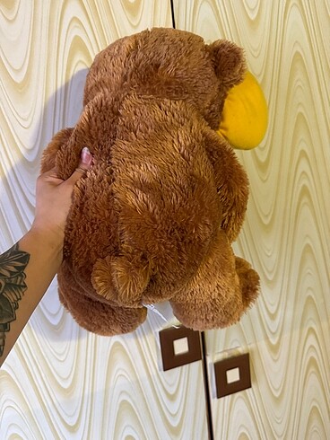 Diğer Peluş ayo