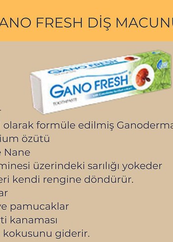 Gano Fresh Diş Macunu - Nane Aromalı