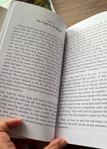 İlkokul Kitapları Seti: Anne, Peter Pan, White Fang - Görsel 4