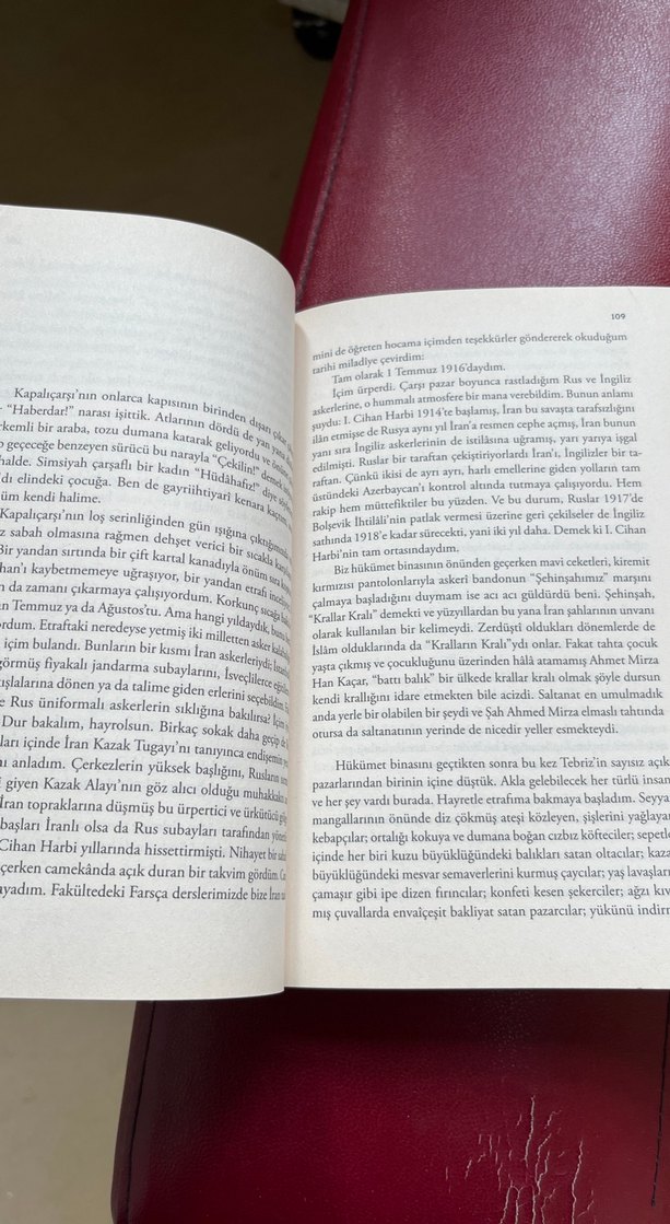 Nar Ağacı - Nazan Bekiroğlu - Görsel 2