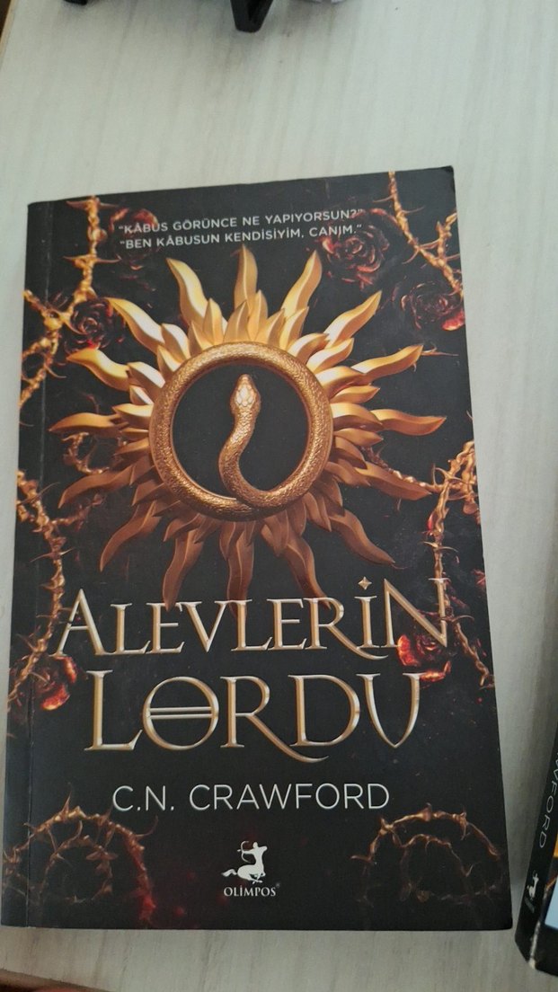 Dikenler Şehri Roman Seti Olimpos Yayınları - Görsel 2