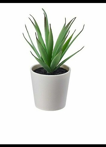 Ikea Ikea yapay bitgi skulen ????