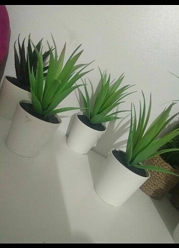 Beden Ikea yapay bitgi skulen ????