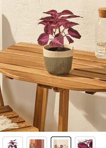 Beden mor Renk IKEA yapay çiçek ????