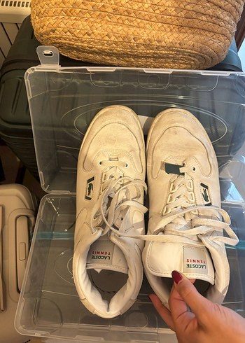 45 Beden Lacoste Tennis Erkek Ayakkabı