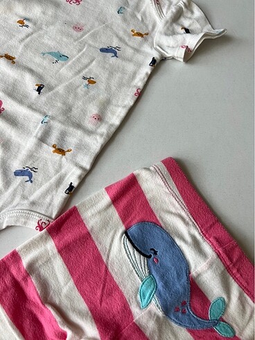 Carter's Carters takım