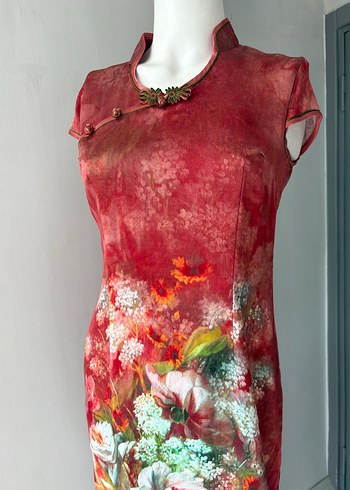 Asian elbise - Görsel 13