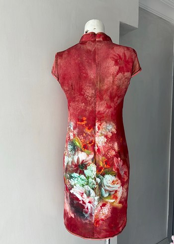 Asian elbise - Görsel 17