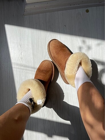 Ugg shearers