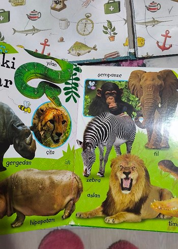 5 adet çocuk kitabı - Görsel 6