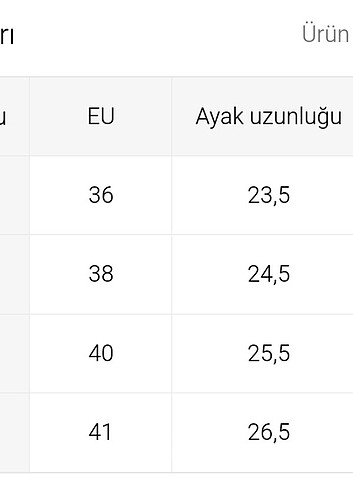 38 Beden beyaz Renk Ev Terliği