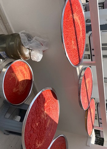 Beden Ev yapımı Antep salçası ve nar ekşisi