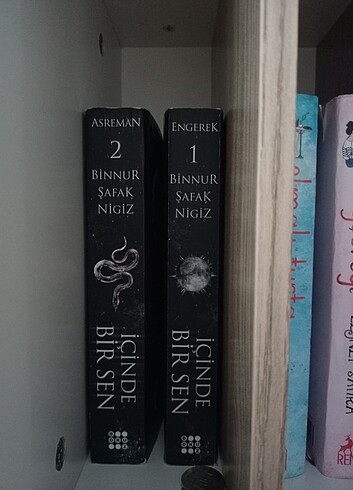 İçinde Bir Sen 1 ve İçinde Bir Sen 2