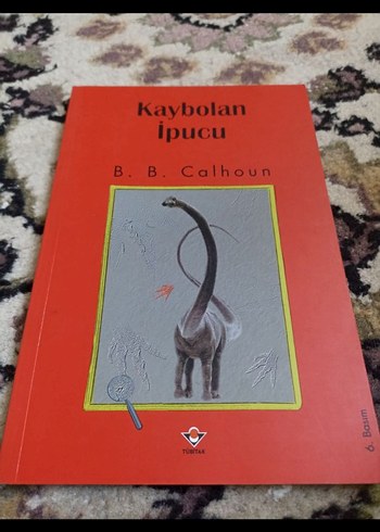 Kaybolan İpucu - B. B. Calhoun