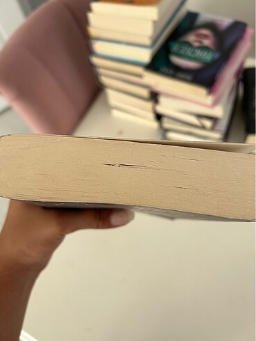  Beden Renk kitap