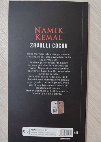 Zavallı Çocuk - Namık Kemal - Görsel 3