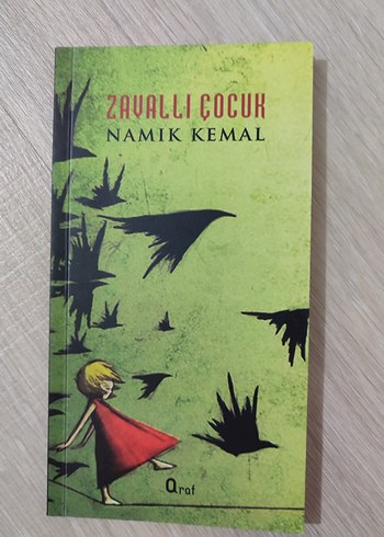 Zavallı Çocuk - Namık Kemal - Görsel 2