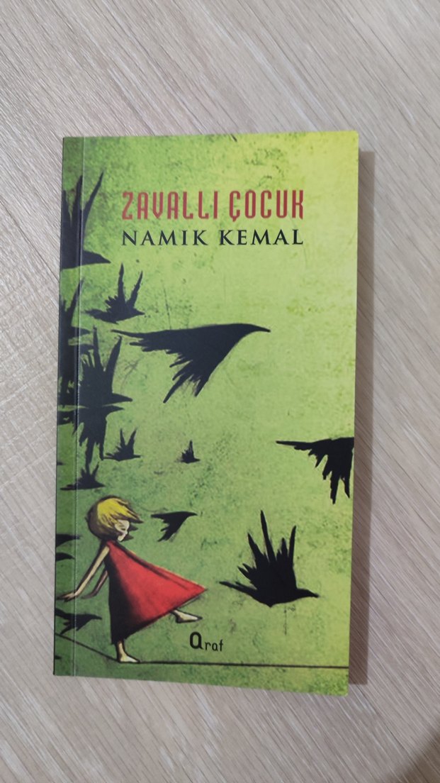 Zavallı Çocuk - Namık Kemal - Görsel 2