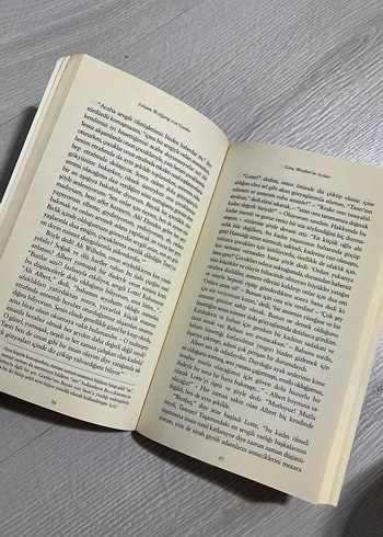 Genç Werther'in Acıları - Johann Wolfgang von Goethe - Görsel 2