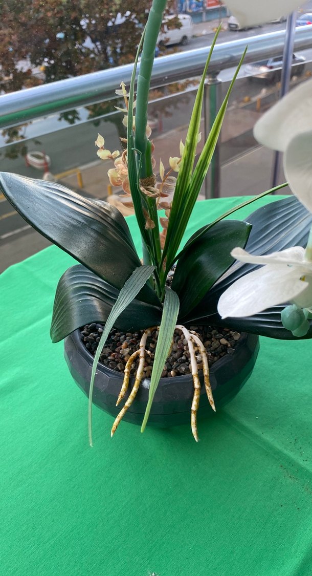 Beyaz Orkide Dekoratif Saksı - Görsel 2