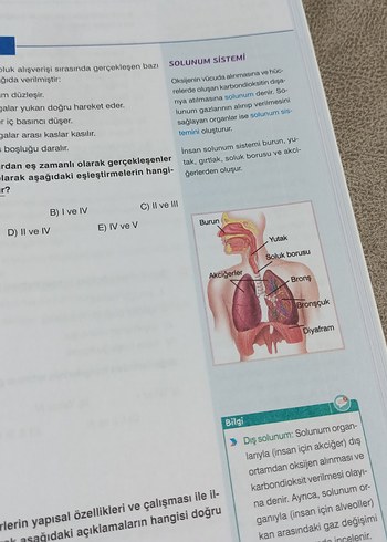 AYT IQ Matematik ve Biyoloji Soru Kitapları