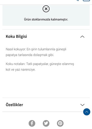 Bath and Body Works Denim & Daisies Shea İçeren Vücut Kremi - Görsel 4