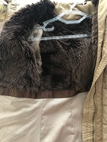 Stradivarius Stradivarius Mont