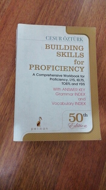 Cesur öztürk bulding skills proficiency 