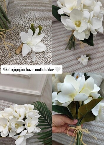 Gelin çiçeği 