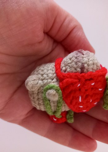 Kapibara(Capybara) anahtarlık - Görsel 10