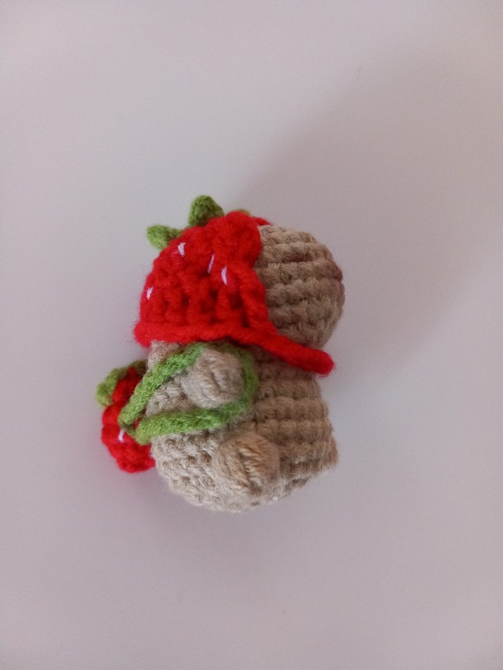 Kapibara(Capybara) anahtarlık - Görsel 4