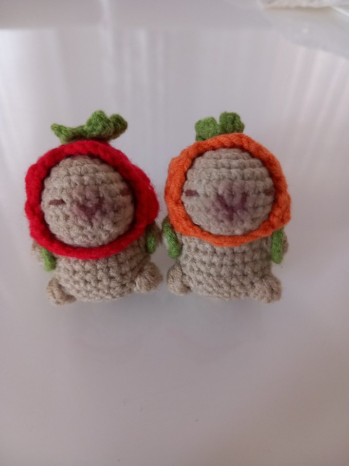 Kapibara(Capybara) anahtarlık - Görsel 3