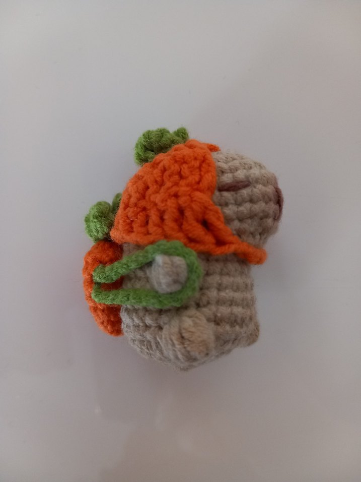 Kapibara(Capybara) anahtarlık - Görsel 5