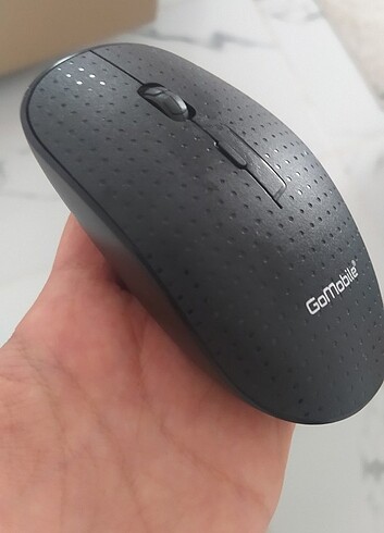 Mouse 