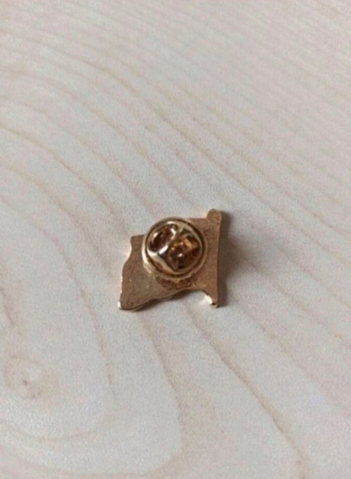 Türk Bayrağı Yaka Rozeti - Görsel 2