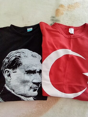 Atatürk baskılı