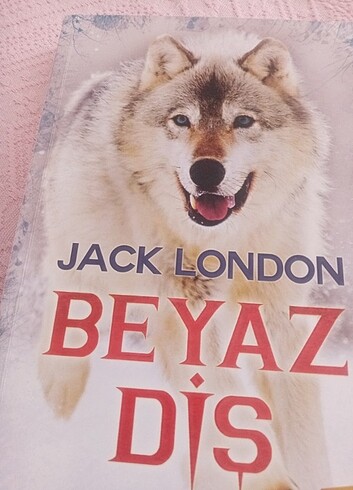 Klasik Kitap/Çocuk kitabı 