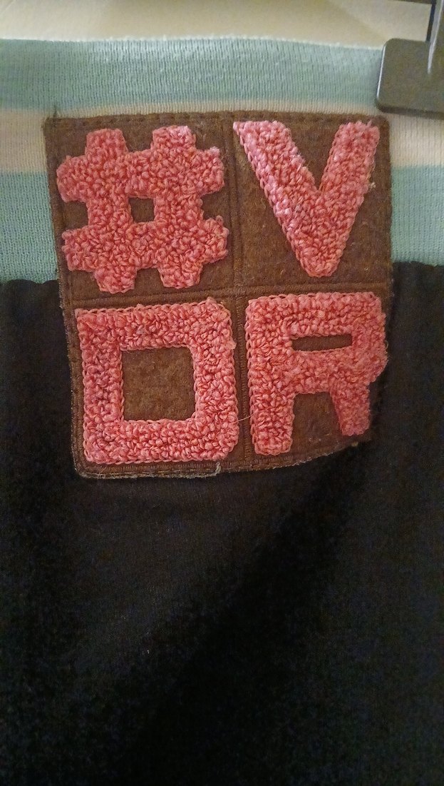 Nakışlı Fermuarlı Kadın Mavi Şort - Görsel 5