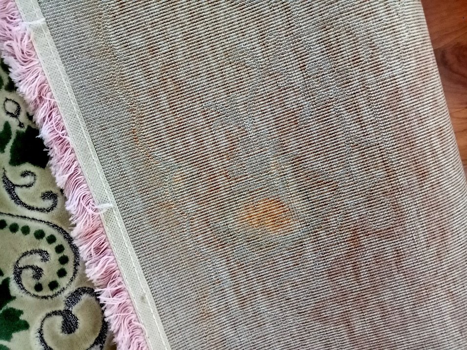 4 metrekare halı pudra krem renk tonu arkası böyle - Görsel 2