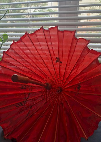 Japon Şemsiyesi - Görsel 7